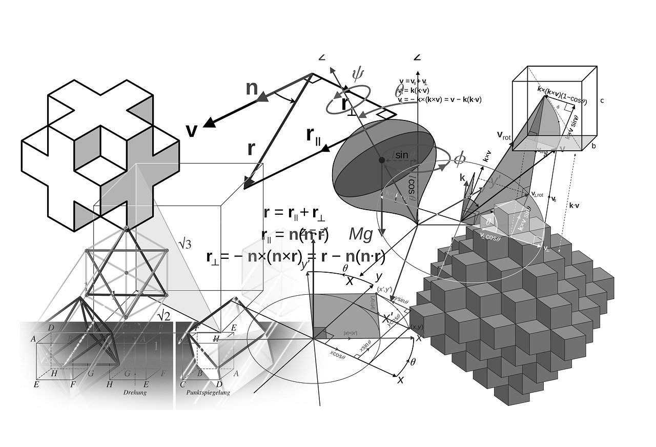 互动策略解析：2024新奥精准正版资料·标准版2