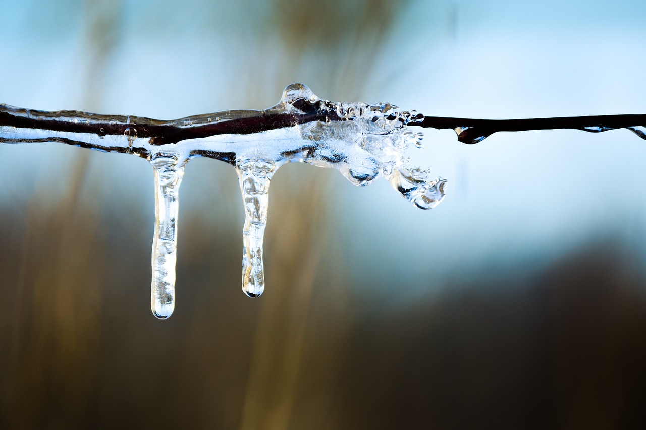 小雪节气时的气温特点，冷不冷？