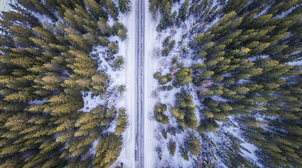 冰雪奇缘，哈尔滨冰雪馆与冰雪大世界的奇幻之旅