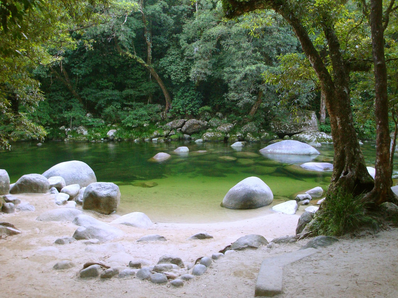 探寻云南神秘美景，畅游旅游鲤之旅