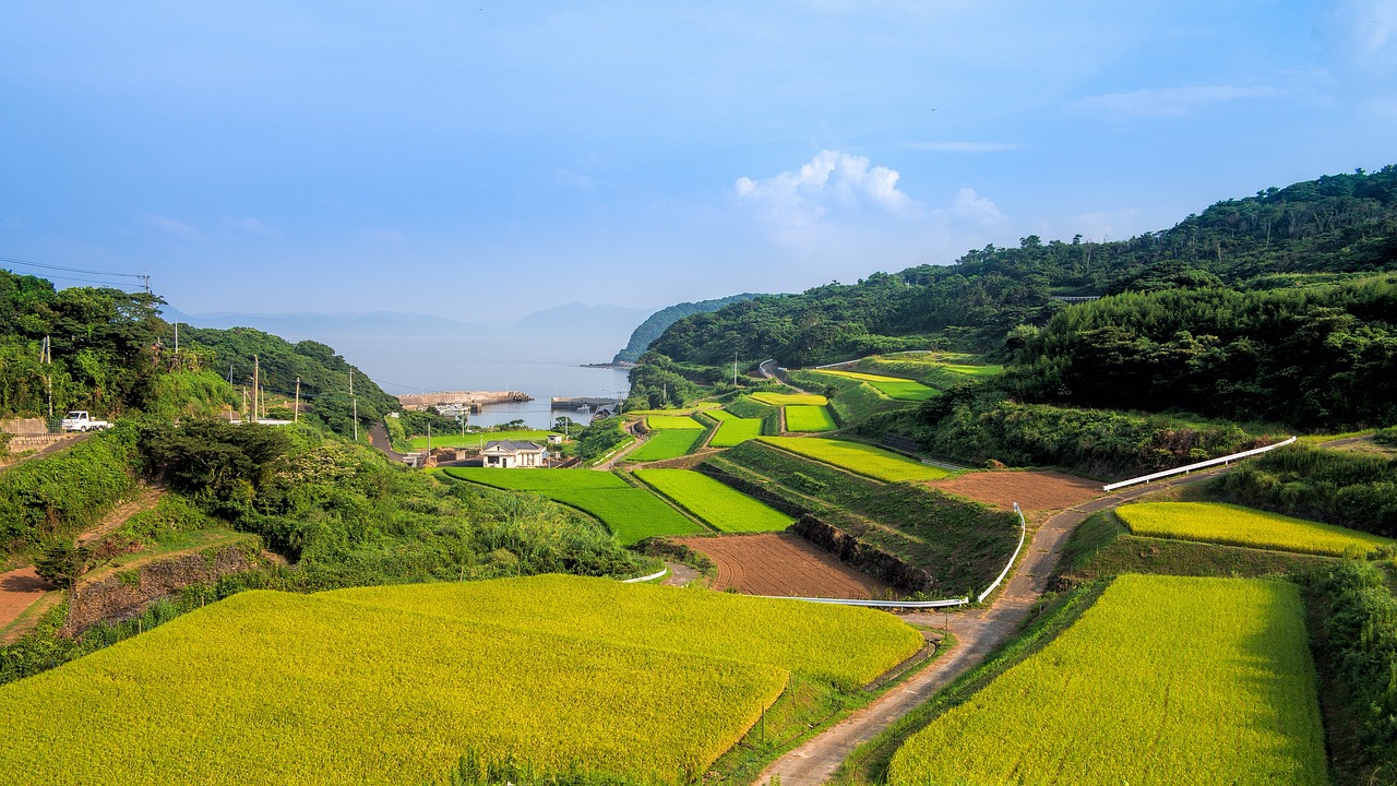 智慧乡村治理系统，引领乡村振兴之路