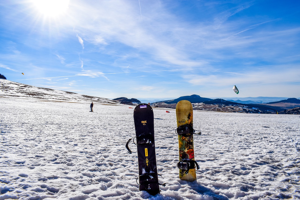 新奥2024年免费资料大全｜冰雪旅游冰雪产业股份起风了软件版DTX79.58.44